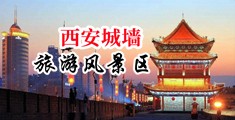 插穴浪叫中国陕西-西安城墙旅游风景区