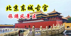 欧美大屌女中国北京-东城古宫旅游风景区